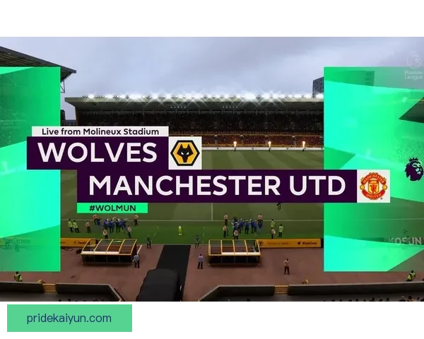 英超狼队新球场建设进展与未来规划